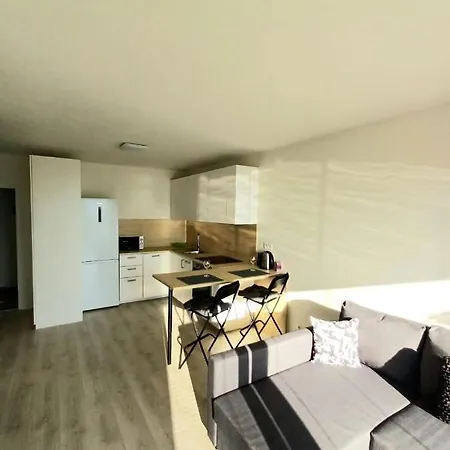 New Air-conditioned 5 Minutes By Walk From The Airport With Free Garage Parking Apartment Bratislava