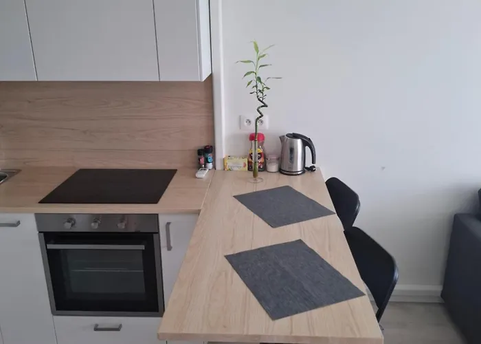 Apartman New Air-conditioned 5 Minutes By Walk From The Airport With Free Garage Parking *